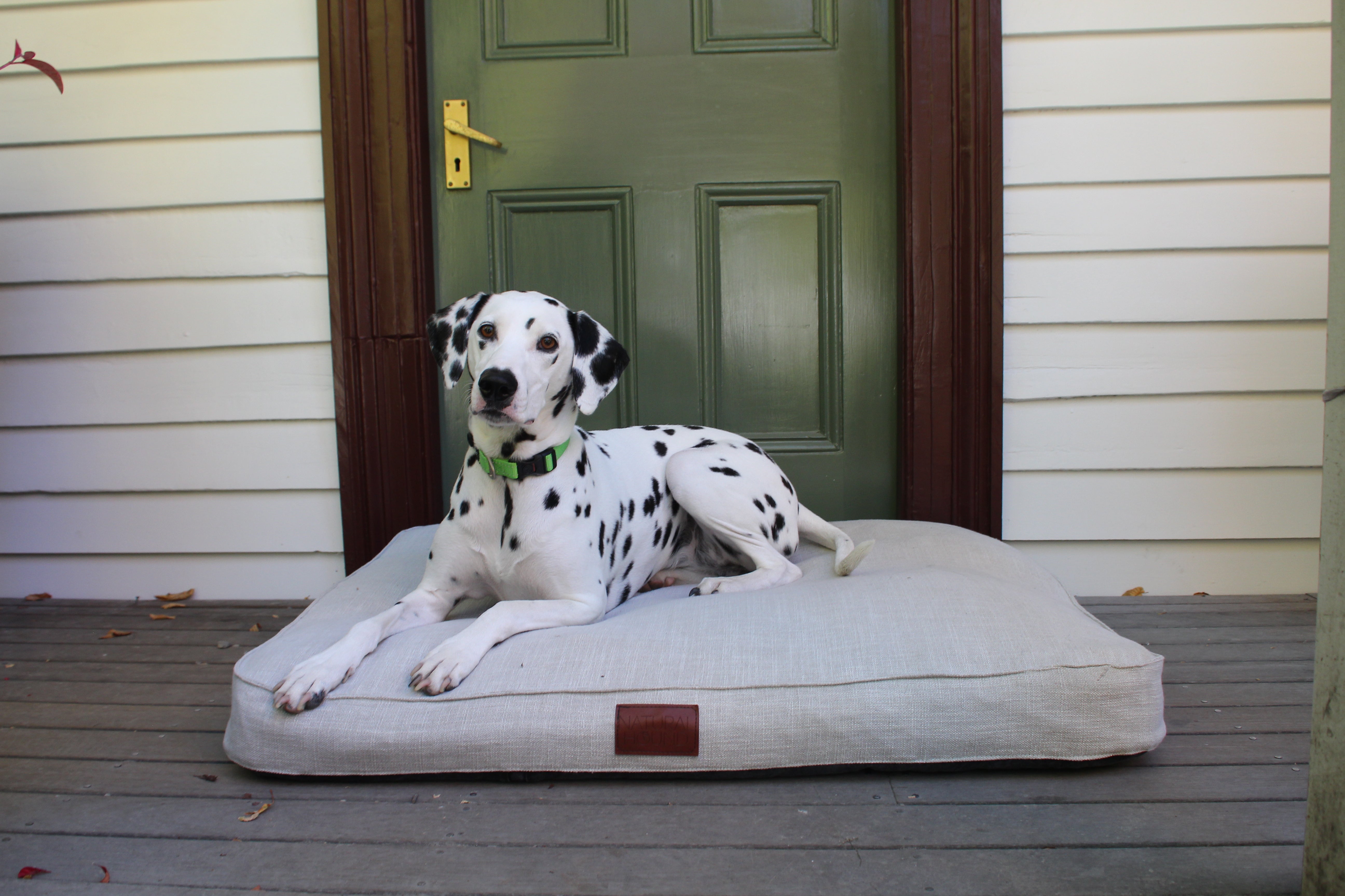 The Benefits of Orthopedic Dog Beds for Aging Pets