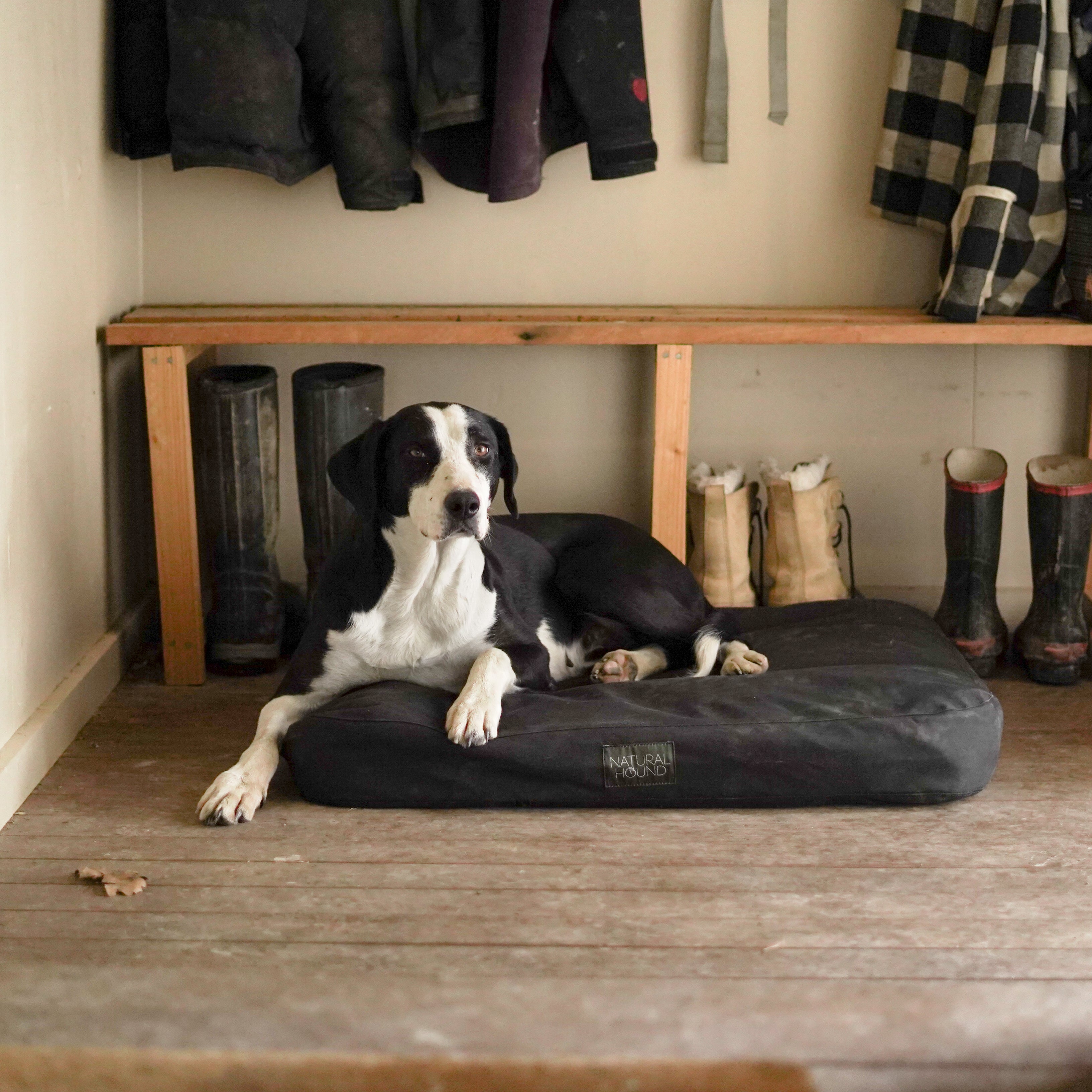 Original Canvas Dog Bed