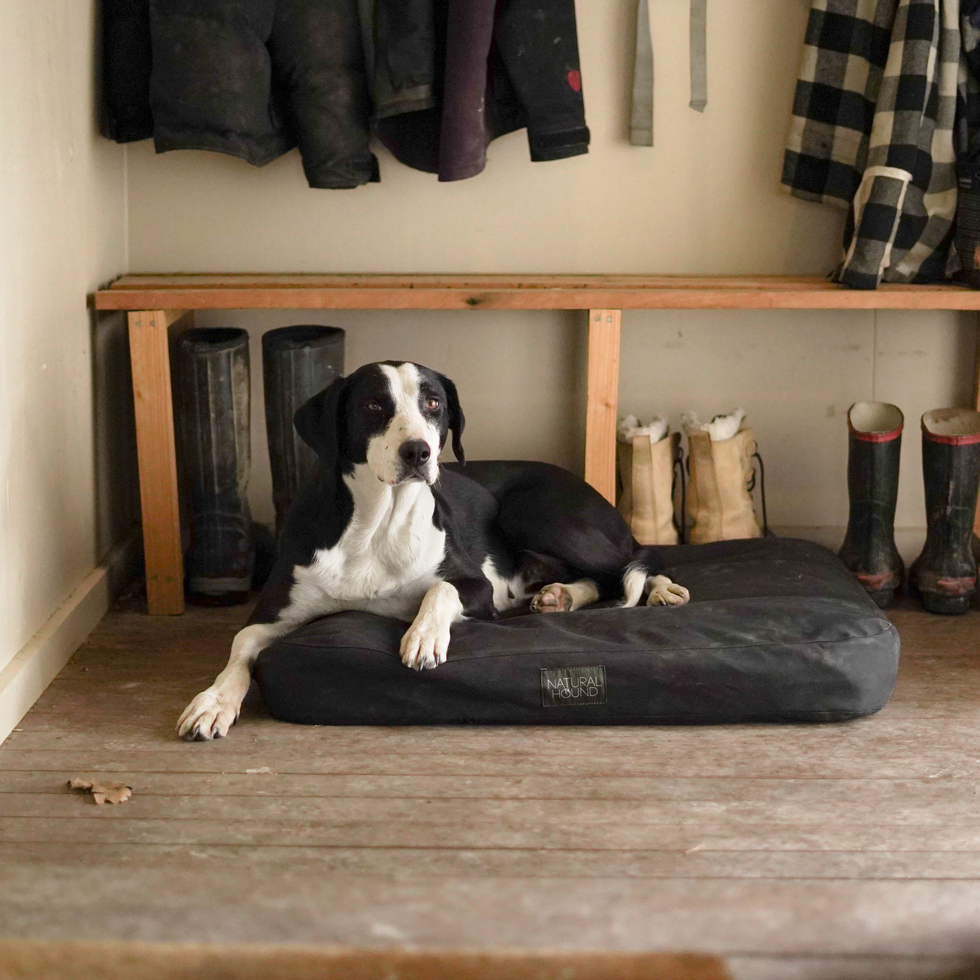 Original Canvas Dog Bed