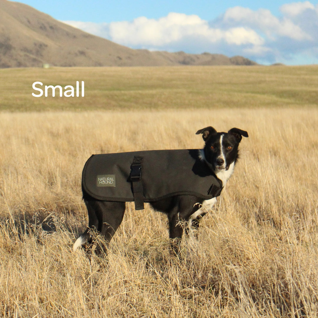 Waterproof Canvas Shell Dog Coat