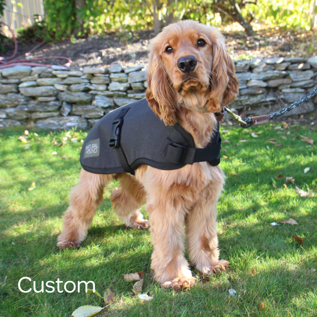 Waterproof Canvas Shell Dog Coat