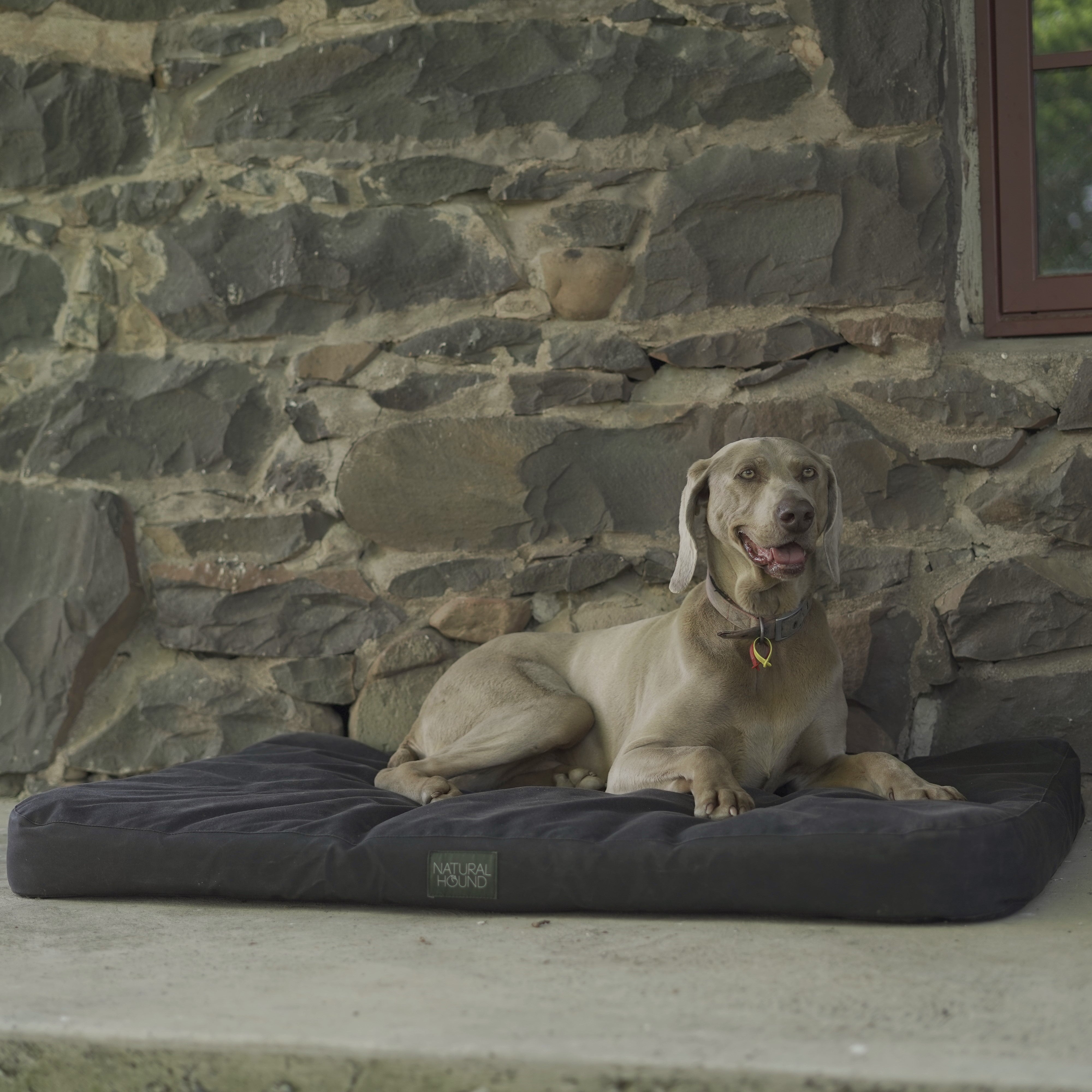 Original Canvas Dog Bed