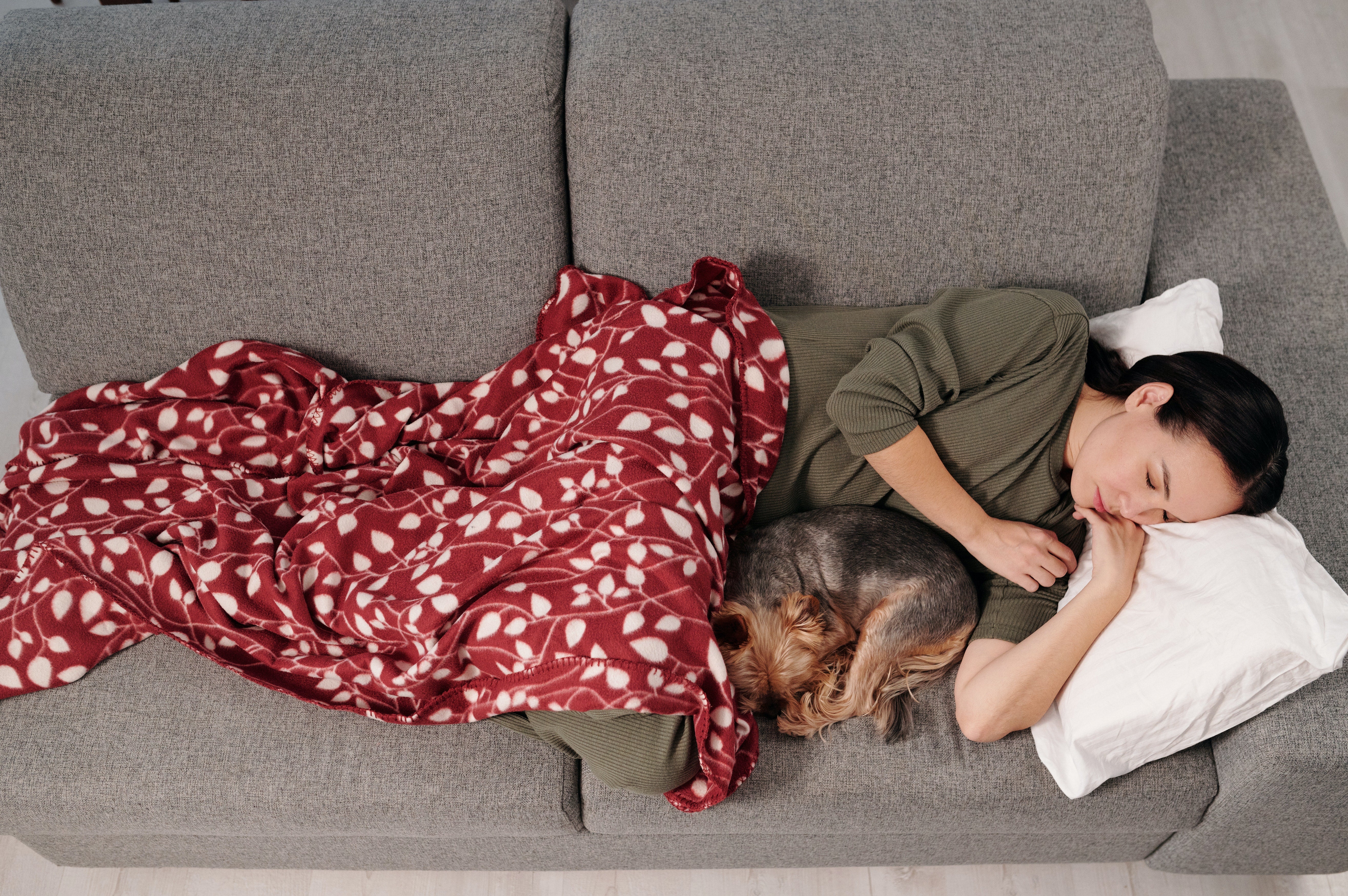 Why do dogs sleep with their bum facing you?