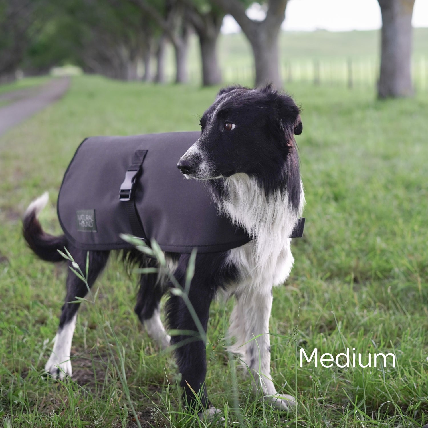 Dog Coats NZ Kiwi Made Dog Jackets Natural Hound