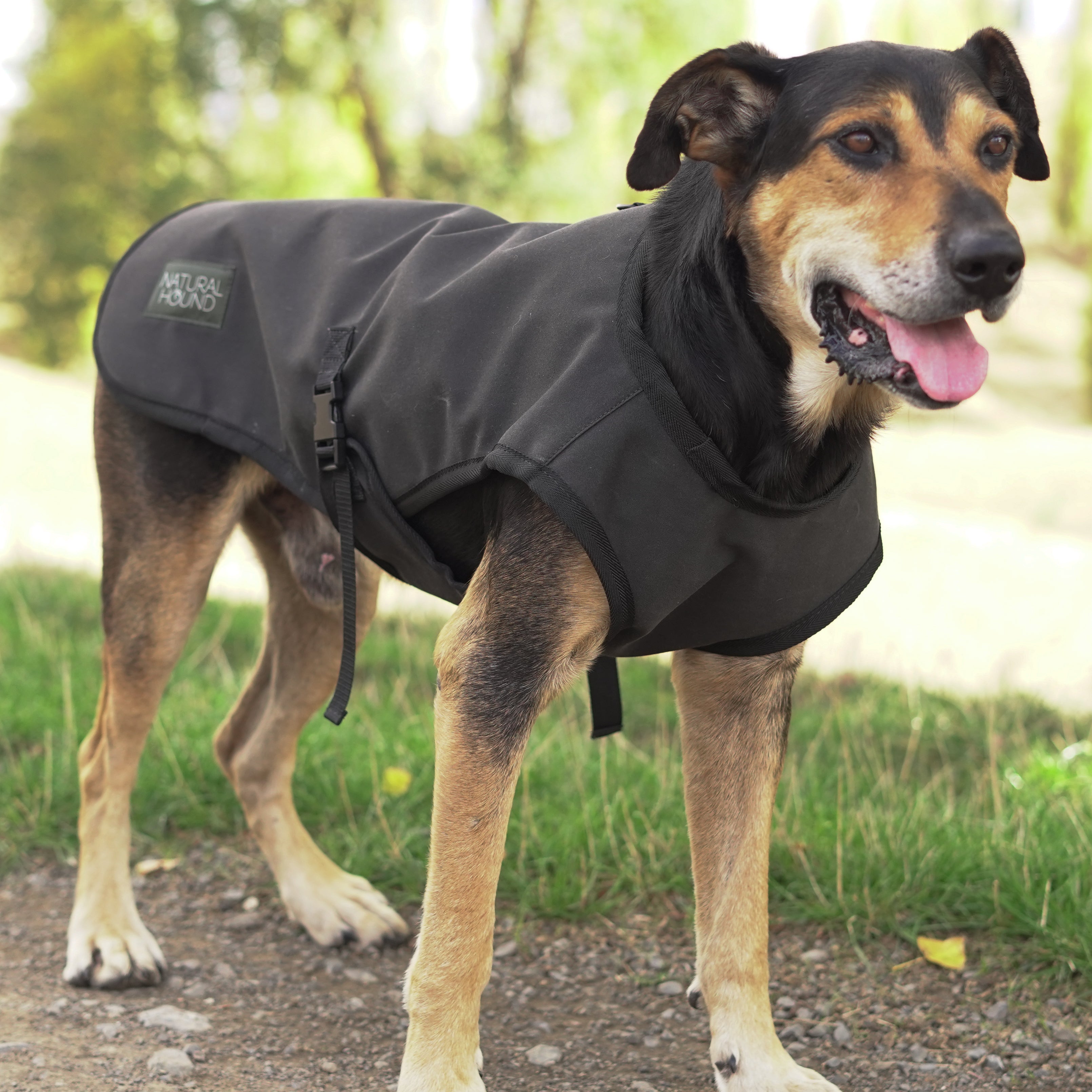 NEW Venture Dog Coat