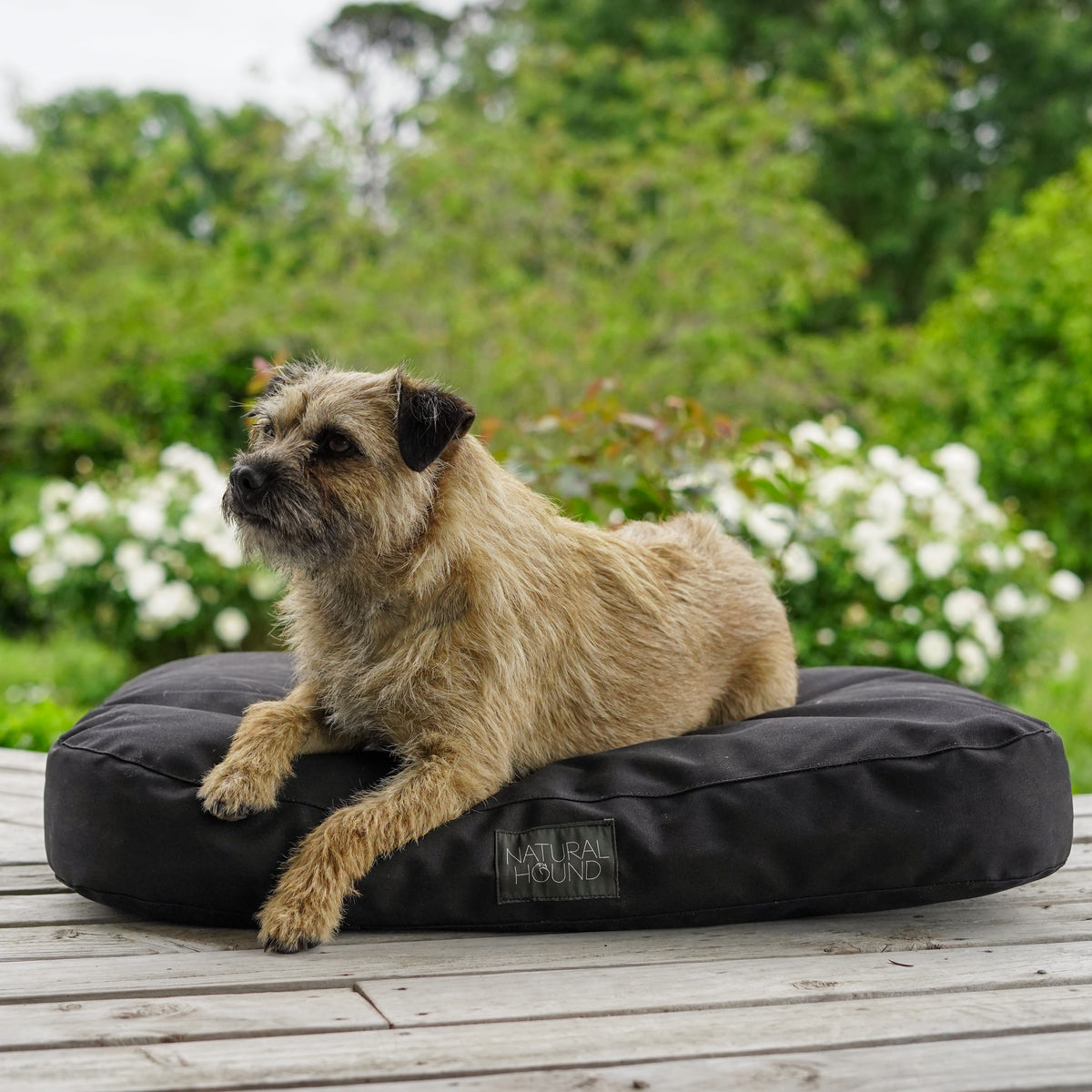 Dog Beds NZ Best Outdoor Dog Beds Waterproof & Washable