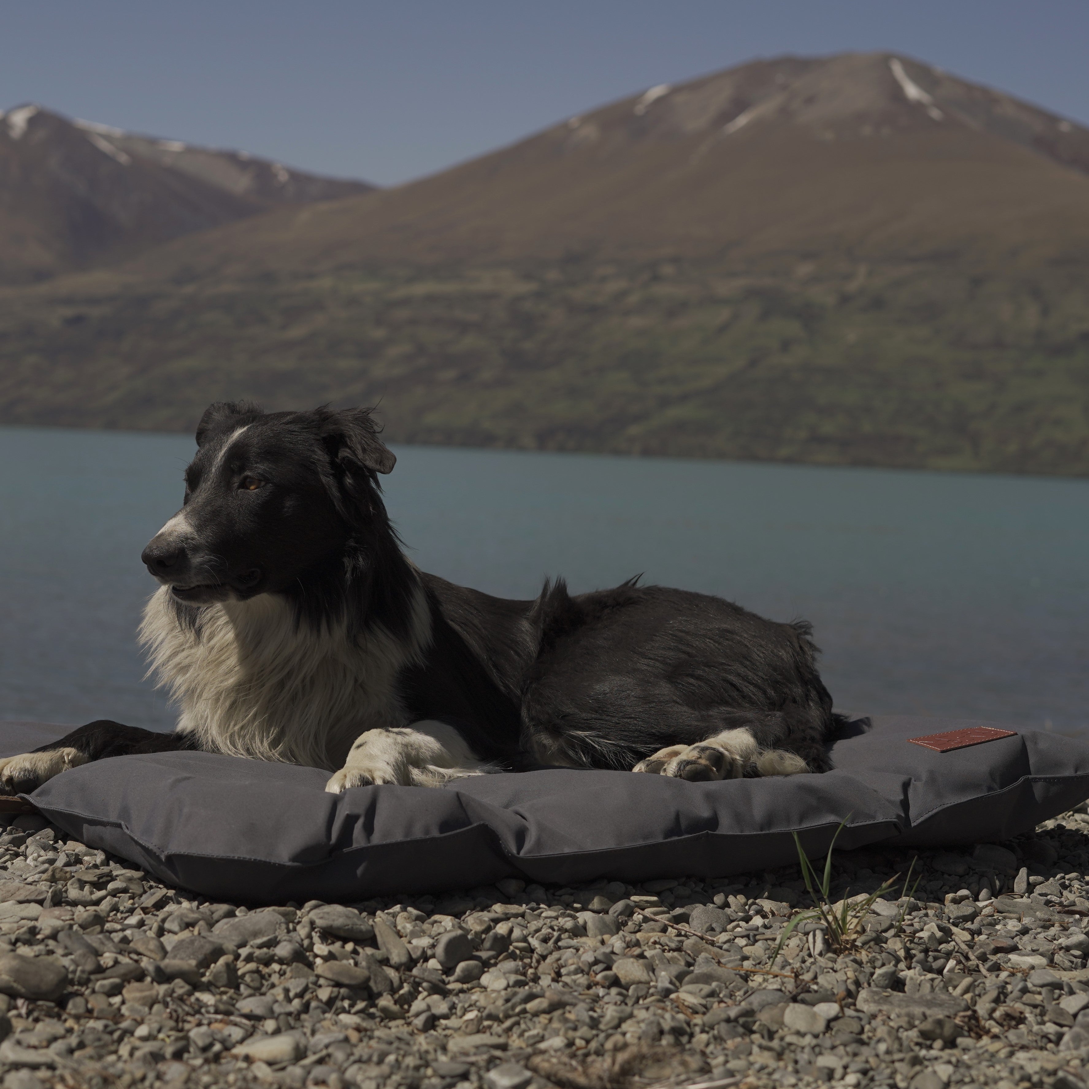 Travel Canvas Dog Bed
